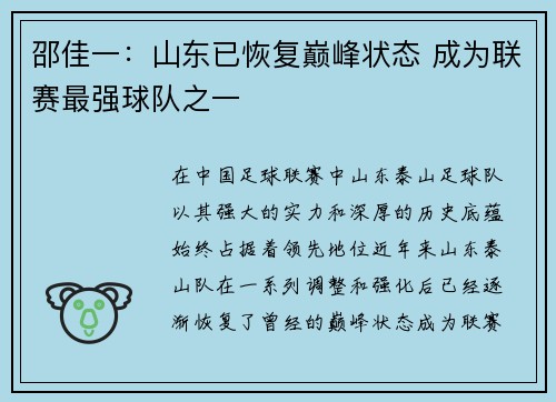 邵佳一：山东已恢复巅峰状态 成为联赛最强球队之一
